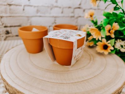 Macetero+semilla girasol