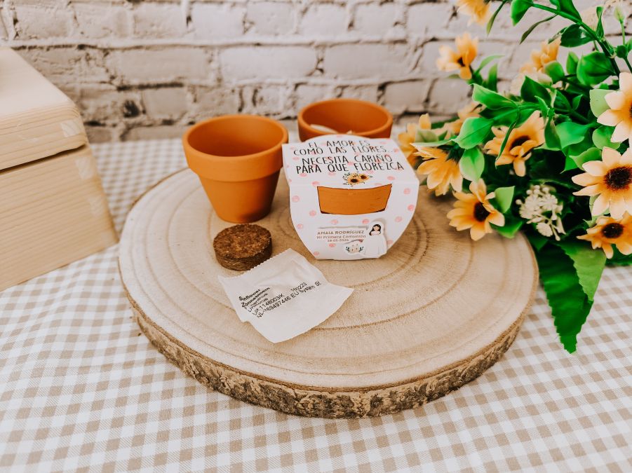 Macetero+semilla girasol