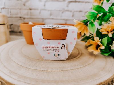 Macetero+semilla girasol